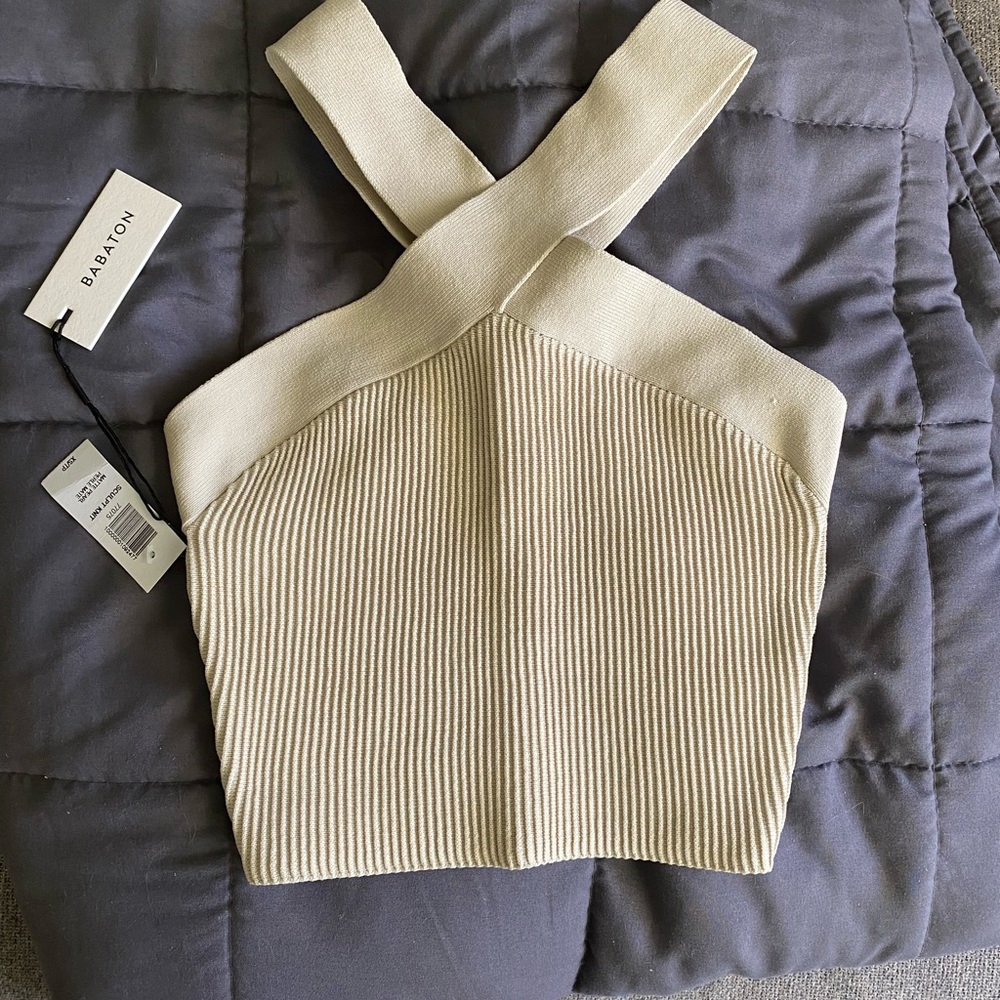 Aritzia Babaton crop top
